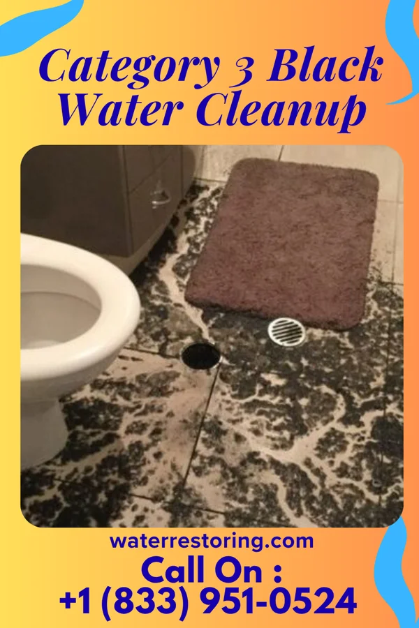 Category 3 Black Water Cleanup in Nekoosa, WI