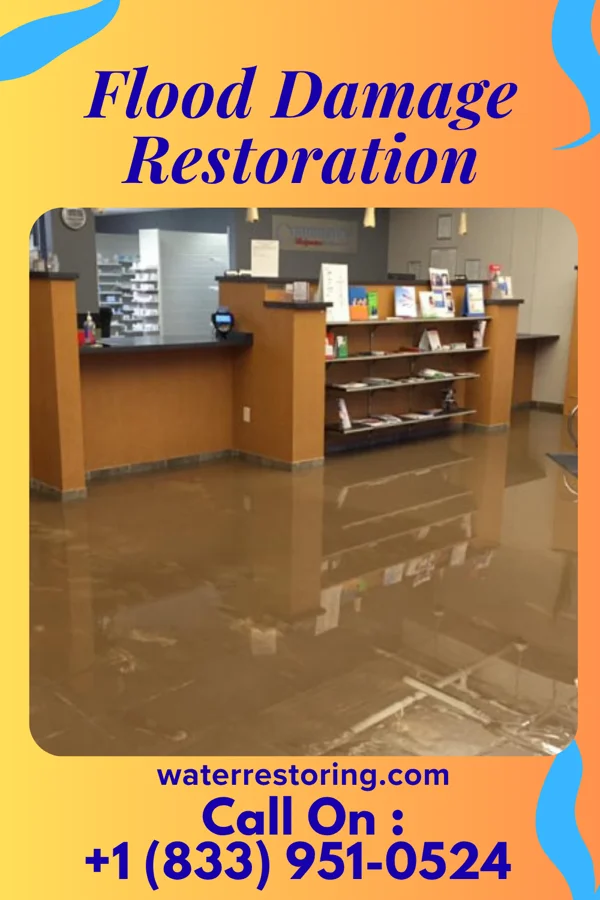 Flood Damage Restoration in Nekoosa, WI