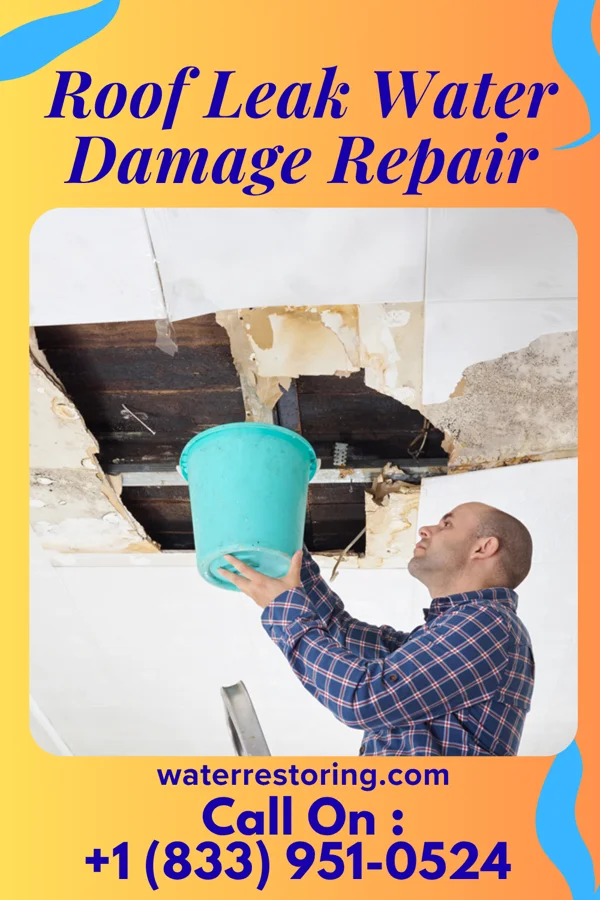 Roof Leak Water Damage Repair in Nekoosa, WI