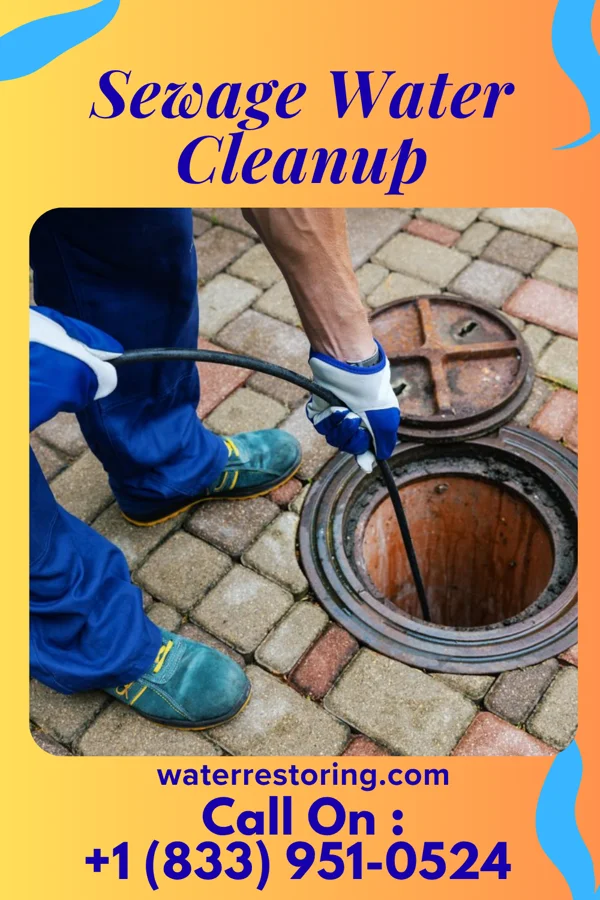 Sewage Water Cleanup in Nekoosa, WI